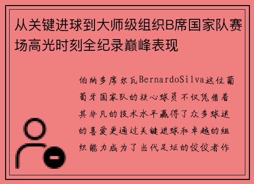 从关键进球到大师级组织B席国家队赛场高光时刻全纪录巅峰表现 从关键进球到大师级组织B席国家队赛场高光时刻全纪录巅峰表现
